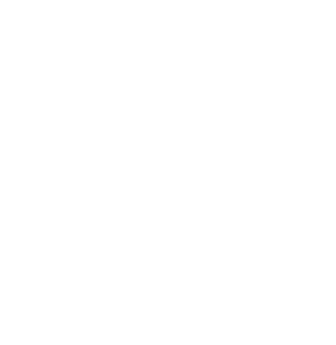 laravel web development