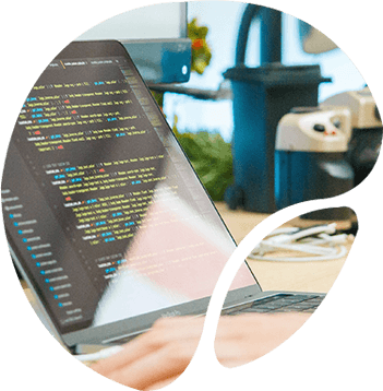 Magento Web Development