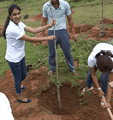 social Events - Logicspice