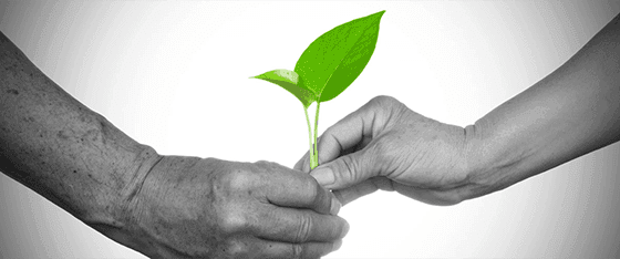 connected socially - Logicspice