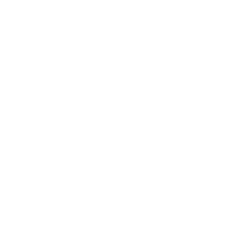 laravel web development