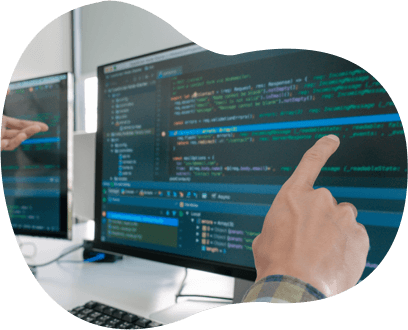 Custom Wordpress Development