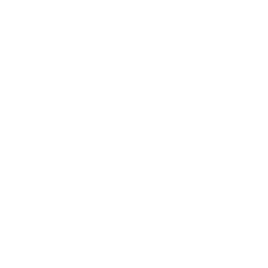 Custom Wordpress Development