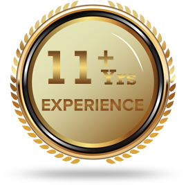11+ Experince - Logicspice