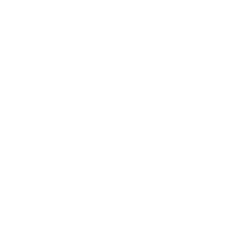 Artificial Intelligence Development Services