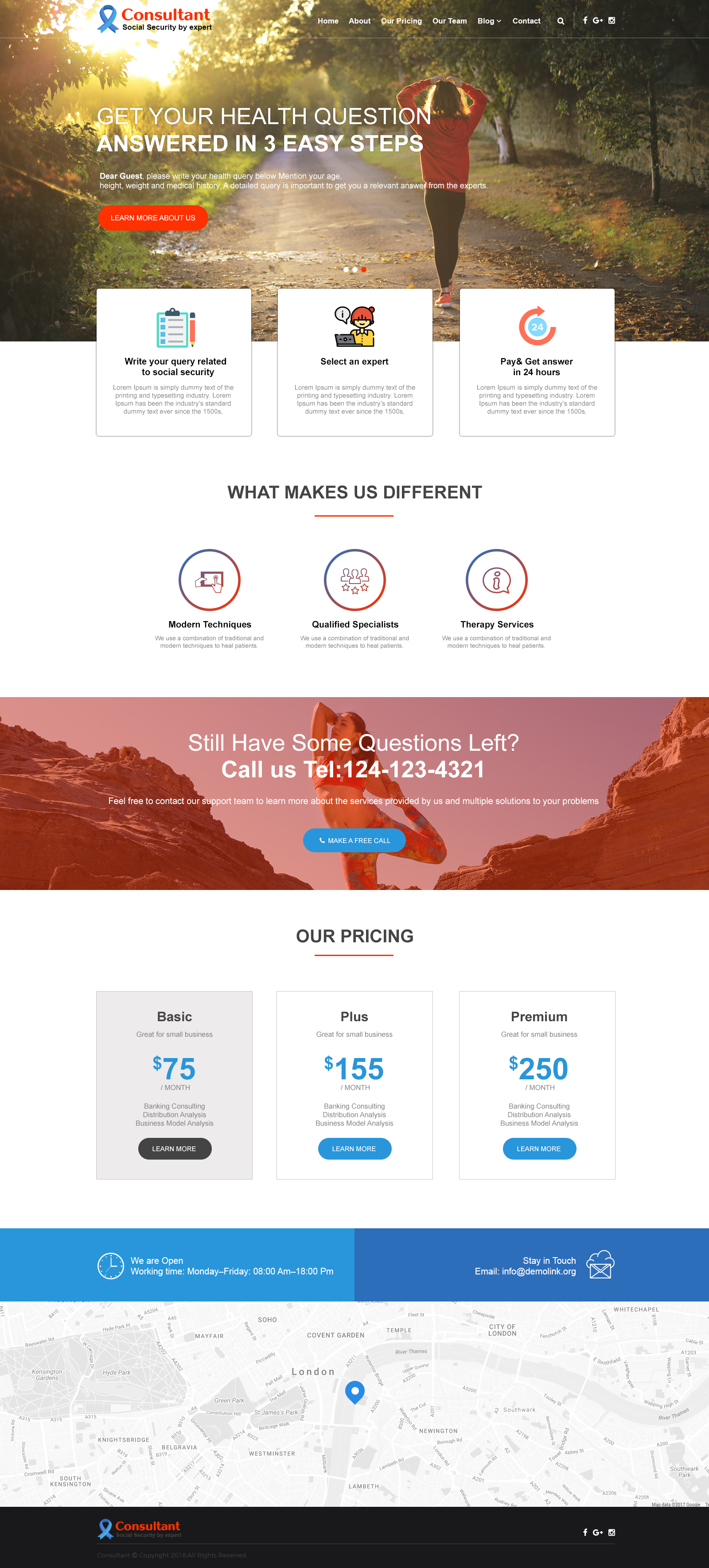 Consultant Website Template