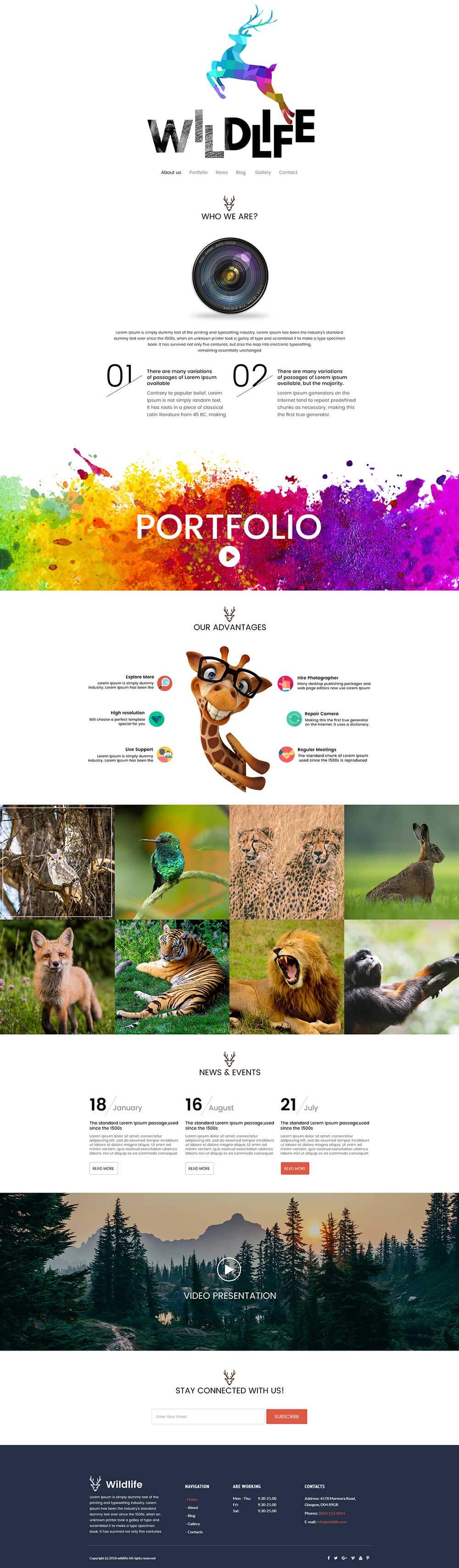 Wildlife Website Template