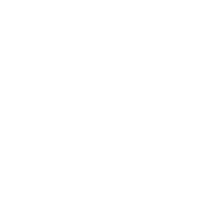 Python Development Services