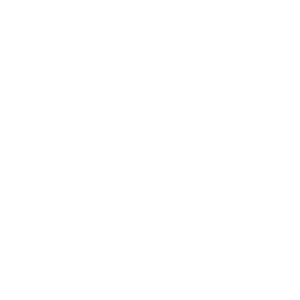 React JS Web Development Services